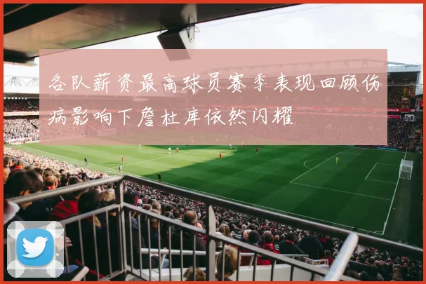 各队薪资最高球员赛季表现回顾伤病影响下詹杜库依然闪耀